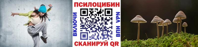 OMG ТОР  Чухлома  Псилоцибиновые грибы Psilocybe 
